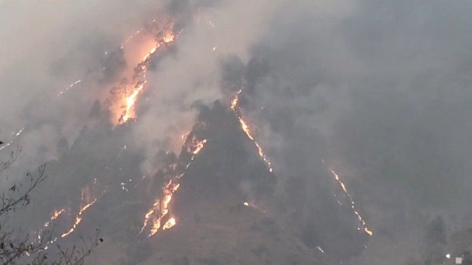 चमोली के जंगलों में भीषण आग का कहर, कई हेक्टेयर क्षेत्र हुआ जलकर खाक